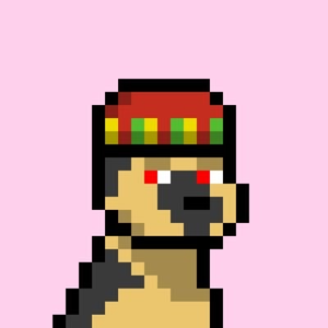 Nero's PFP